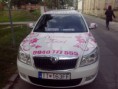 /album/fotogaleria-womentaxi-trnava/a964427-113500072191281-1077853550-o-1-jpg/